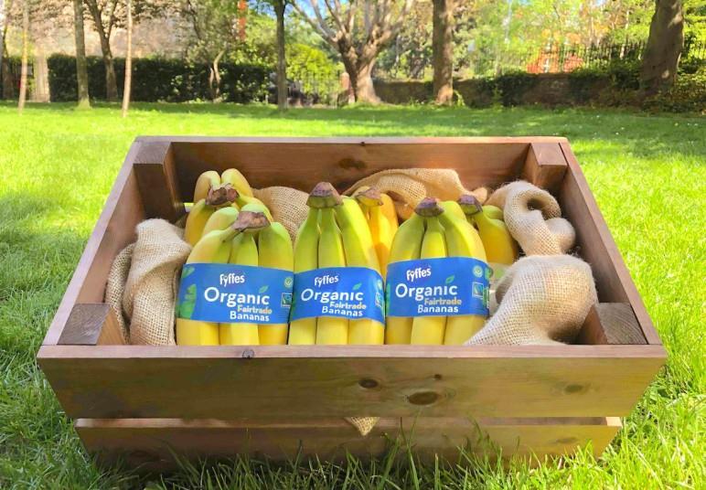 Fyffes Cuts Back On Packaging Article Fruitnet fyffes-cuts-back-on-packaging-article-fruitnet