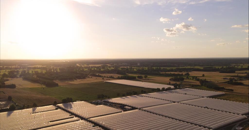 Daifressh expands supply base as it enters new growth phase