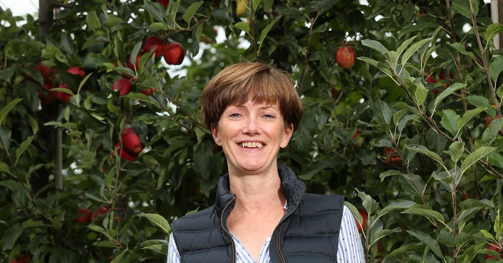 BAPL issues apple and pear inflation warning | News | Fruitnet