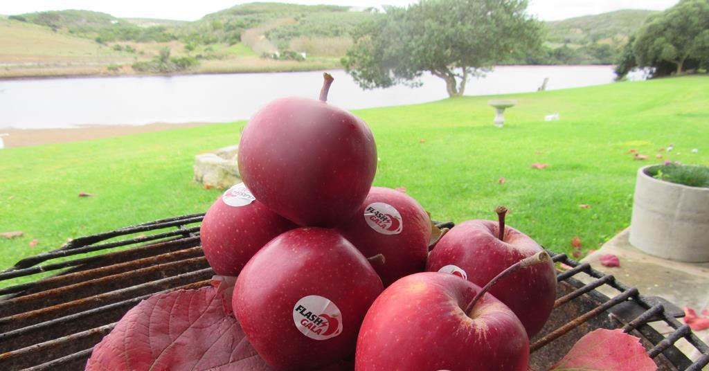 Truly South African Gala makes waves Article