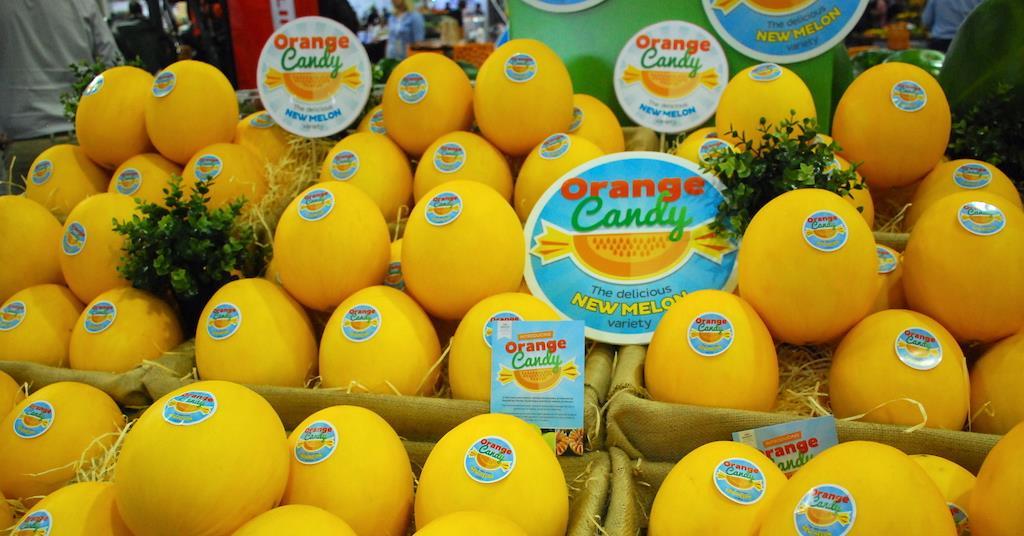 Modernising melons Article