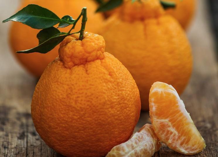 Sumo Citrus® Mandarins