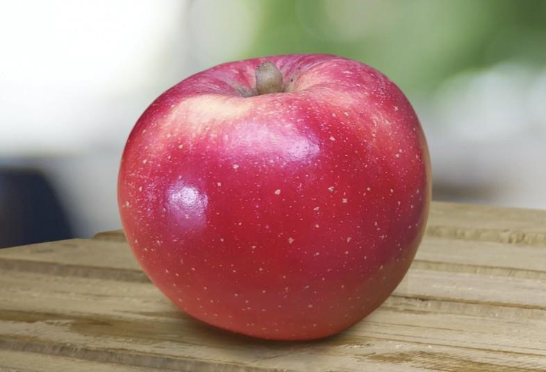 Red, juicy, heat resistant: the hunt for a climate-proof apple