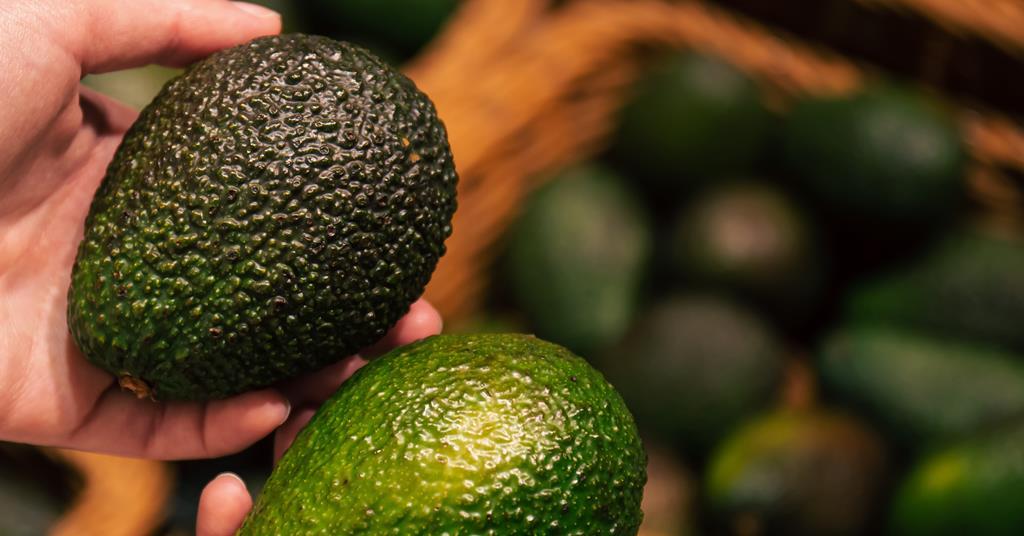 Sustainability Takes Centre Stage At Global Avocado Summit 