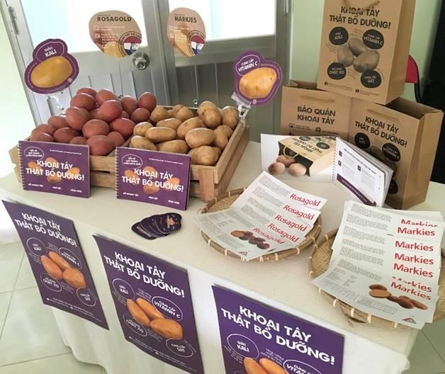 Potato varieties registered in Vietnam Article