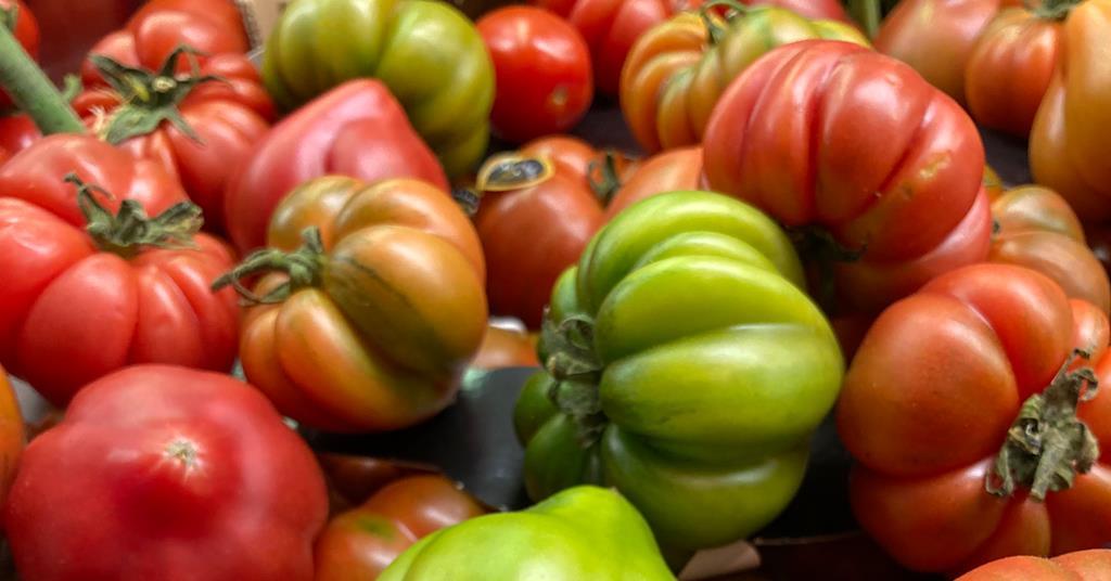 Italien: Daten zum 1. Tertial des Jahres zeigen Top-Ergebnisse für O+G ...