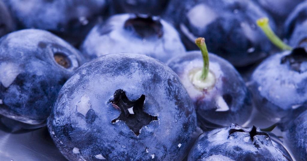 Consumers turning to jumbo blueberries more and more