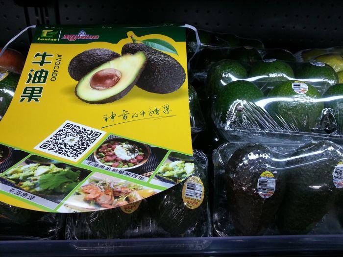 Chinese avocado mission bearing fruit Article