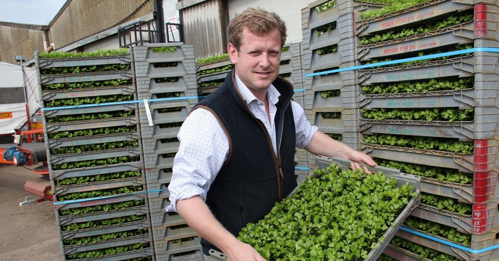 Interview Charles Shropshire's produce heritage Article