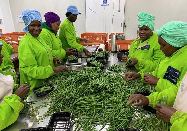 Tesco and Flamingo create surplus soup scheme Article Fruitnet