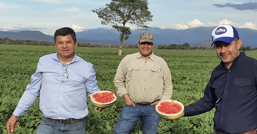 Fyffes reports on Honduras melon transformation Article