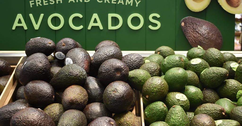 Peru dominates European avocado market | News