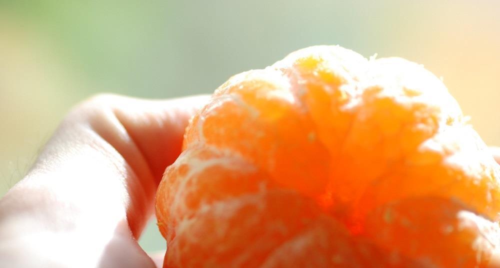 Spanien: Mandarinensorte Orri verdoppelt Vermarktungsvolumen | Article ...