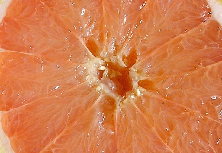 Florida citrus ends on a high Article