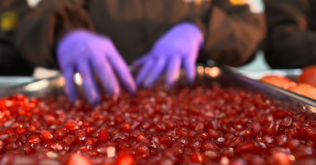 India resumes pomegranate aril exports to US | News | Fruitnet