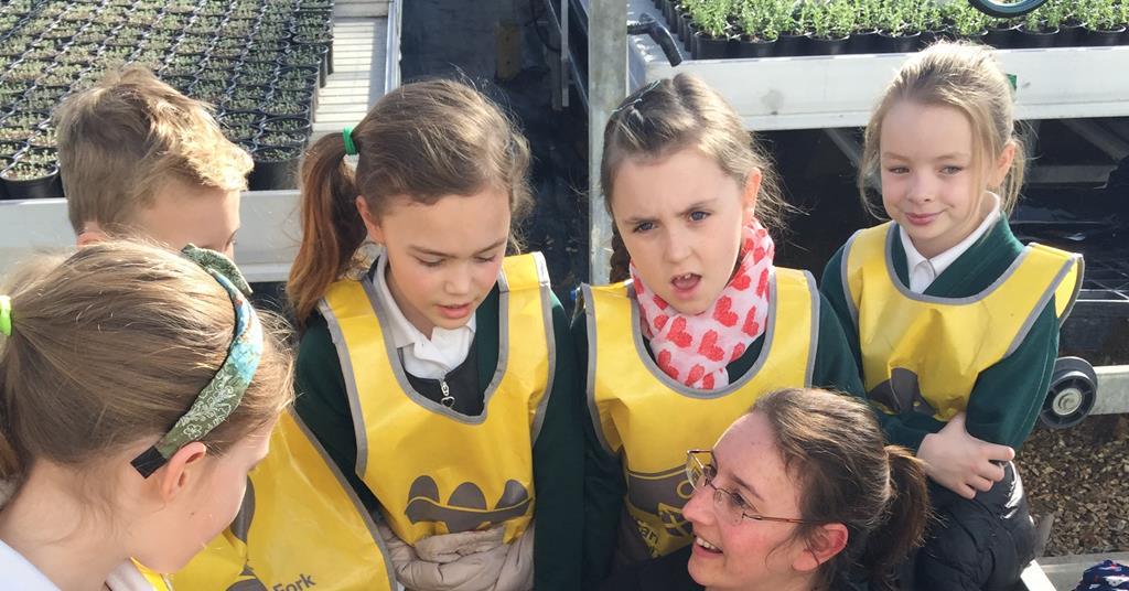 Vitacress mucks in with Tesco education scheme Article