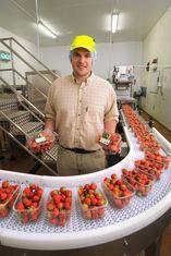 Packhouse Operative Co-op enjoys packhouse success | Article | Fruitnet