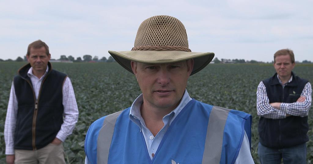 Produce World sites get BRC A* nod Article