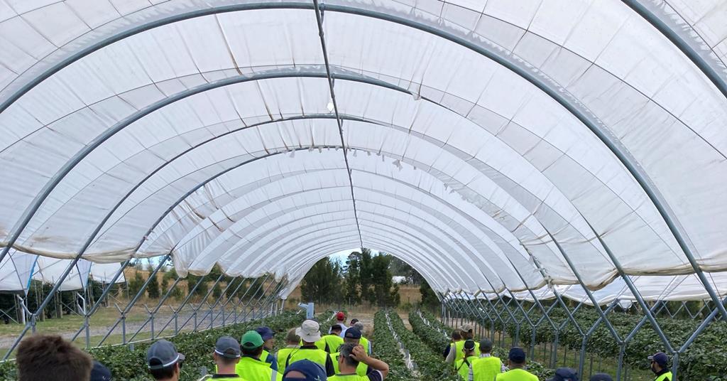 BerryQuest International sets scene for future of Australian berry ...