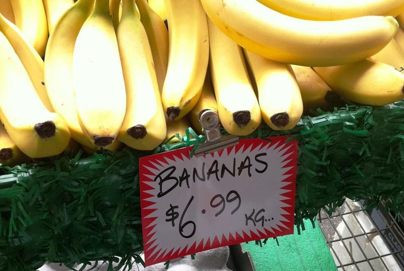 Banana shortage opens Australian opportunities Article
