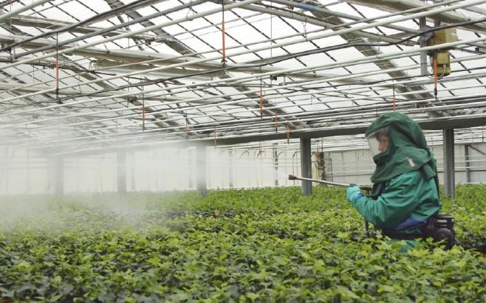 Production Protection Europe discusses crop protection solutions | Article | Fruitnet
