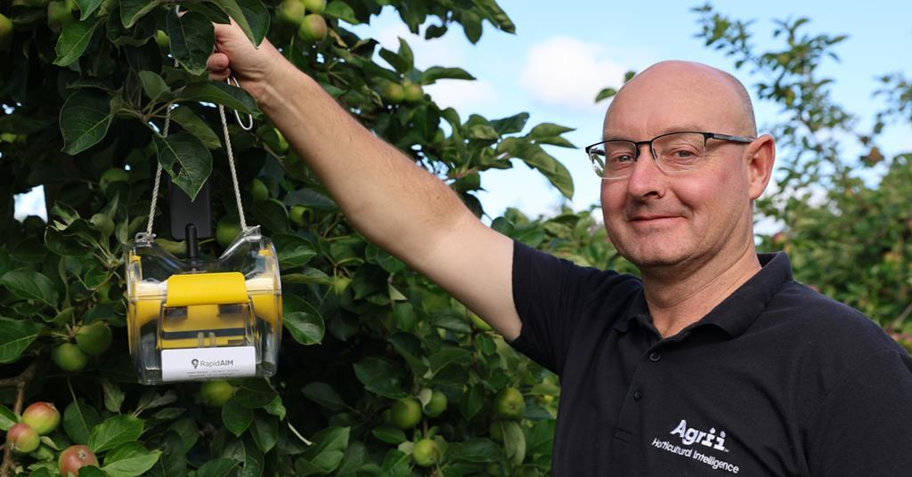 Rapidaim RapidAim to deliver real-time moth monitoring on crop farms | News ...