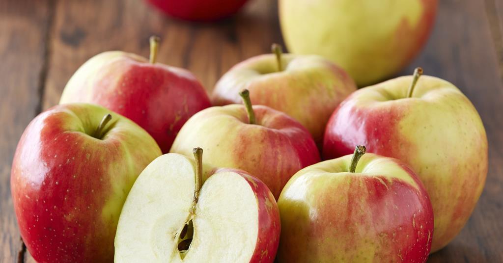 SweeTango apple variety promoted by coop - Fruit Growers News