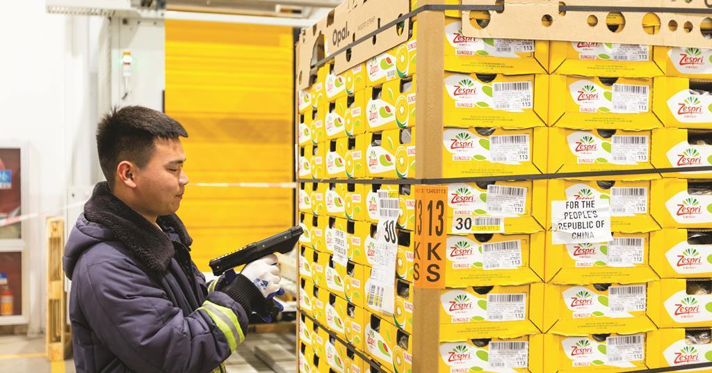 Zespri builds supply chain for the future | Features