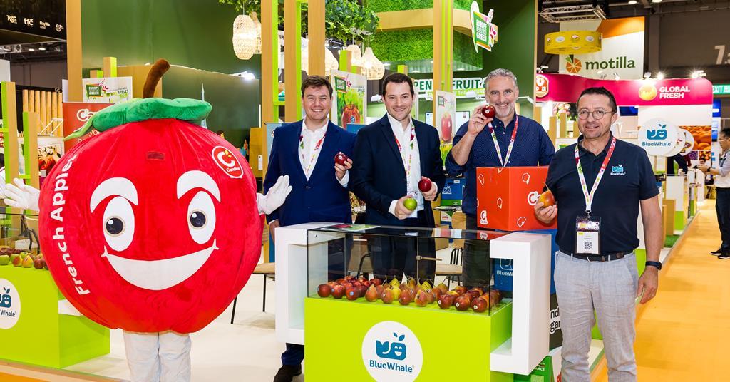 Blue Whale poised for big export push in Asia | Article | Fruitnet