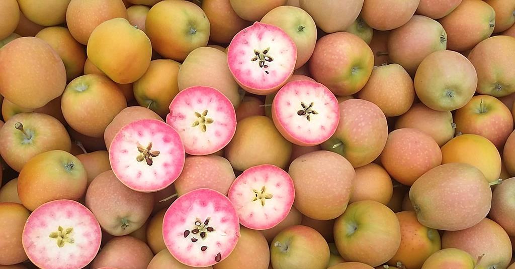 apples that are pink inside