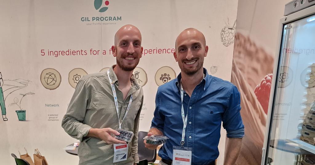 Luca Rig G-Berries enters blueberry business with Naike Blueberry Club | News ...