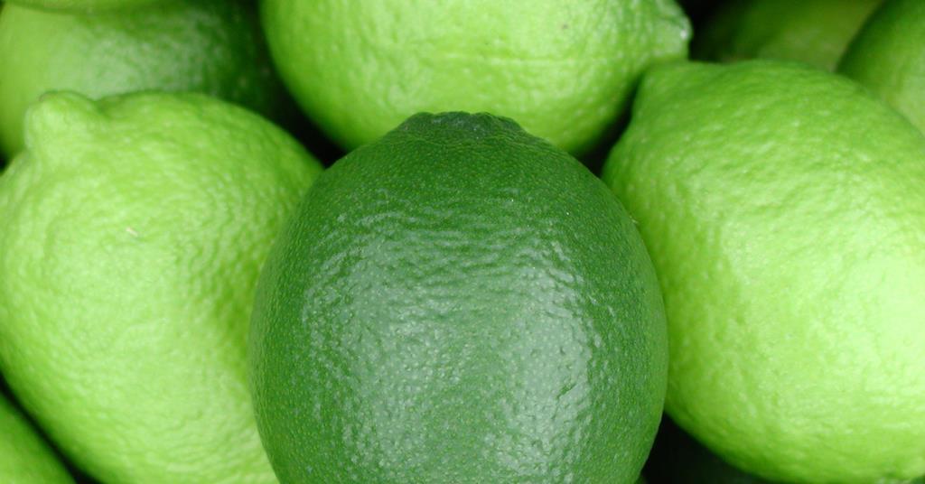 Harvey Citrus secures Coles grant Article