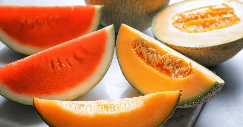 BASF in melon breeding acquisition | Article | Fruitnet