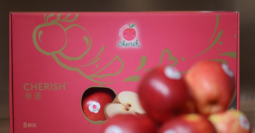 GBF’s new brand for Cherish | Article | Fruitnet