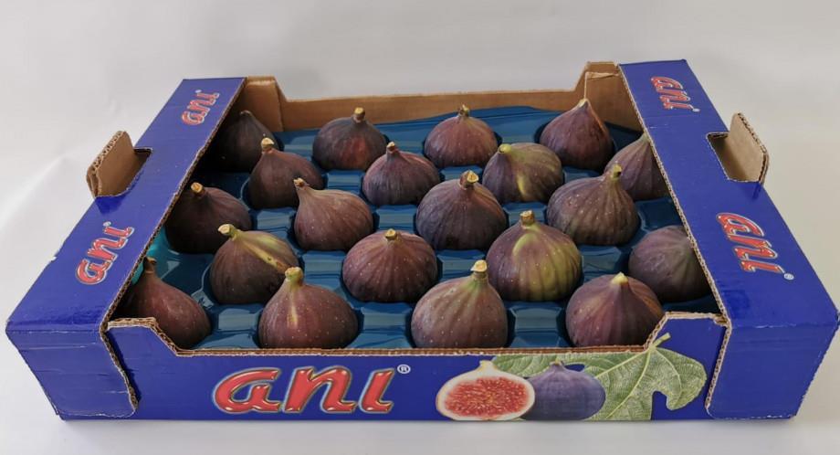 Fig exports rise at Ani Tarim | Article | Fruitnet