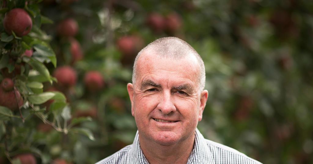New Zealand Apples and Pears unveiled Article