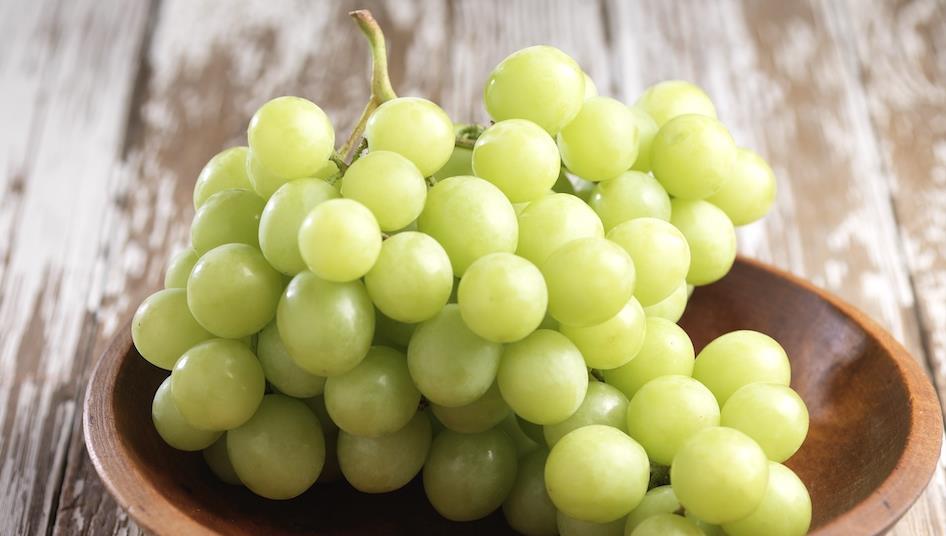 AutumnCrisp goes from strength to strength in South Africa