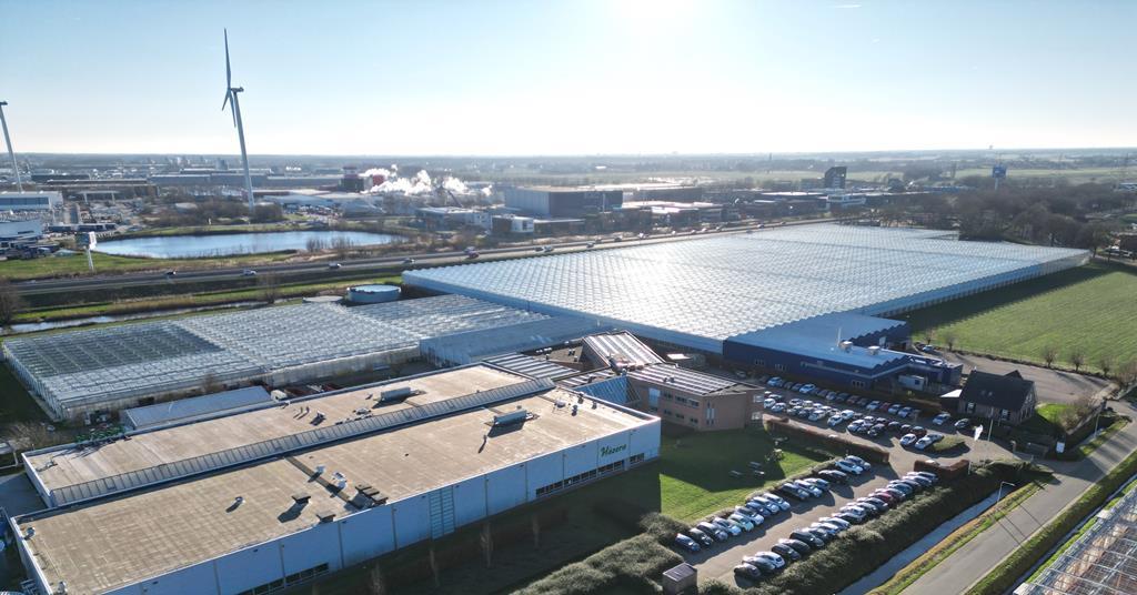 Hazera acquires high-tech greenhouse in the Netherlands