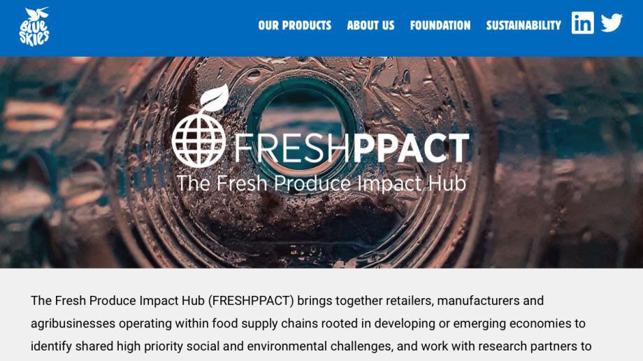 Blue Skies launches Fresh Produce Impact Hub | Article | Fruitnet