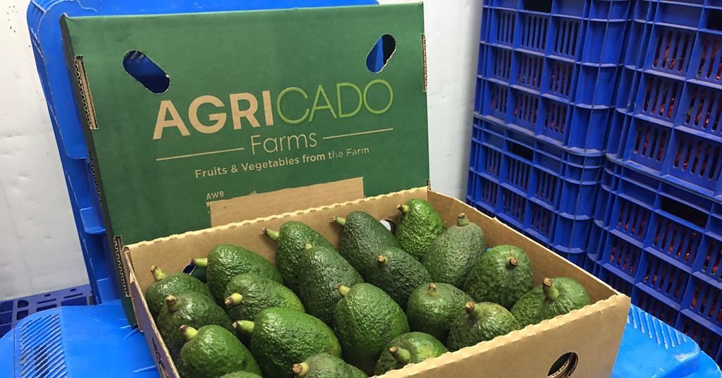 Uganda's avocado ambitions Article