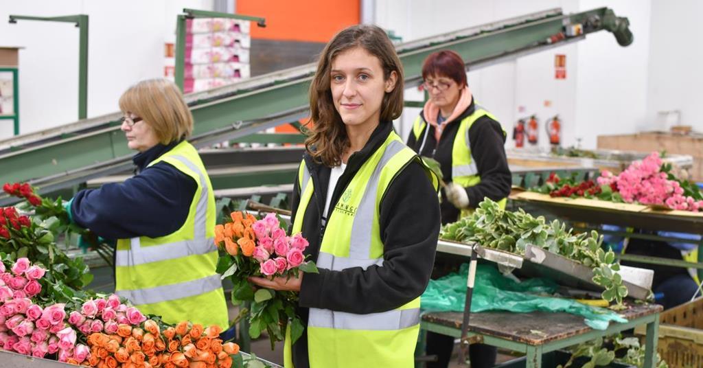 Exforces targeted for fresh produce careers Article