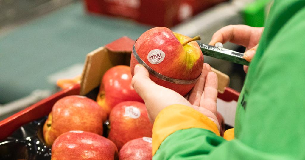 Nufri’s Envy apple awarded Taste of the Year 2024 quality seal