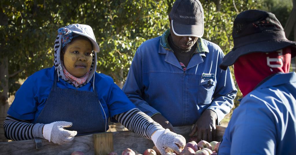 Pals envía un llamamiento de coalición para la reforma agraria en Sudáfrica |  artículo