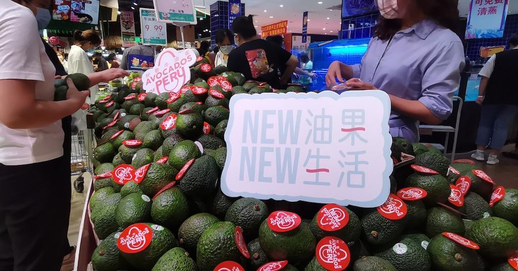 Avocado Fresco – China Market