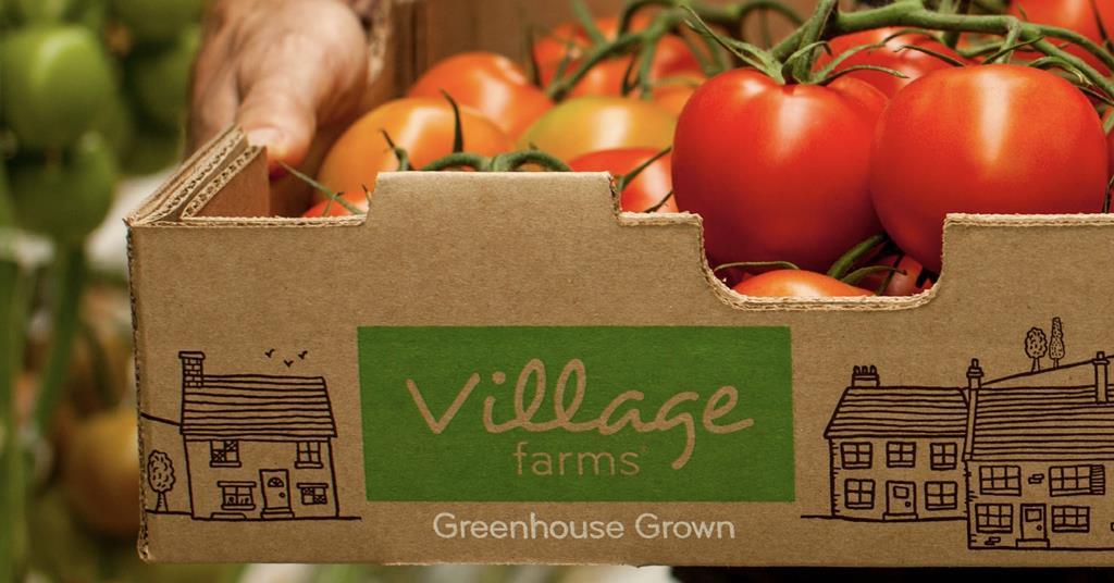 Village Farms sells majority stake in produce business to Vanguard Food | News