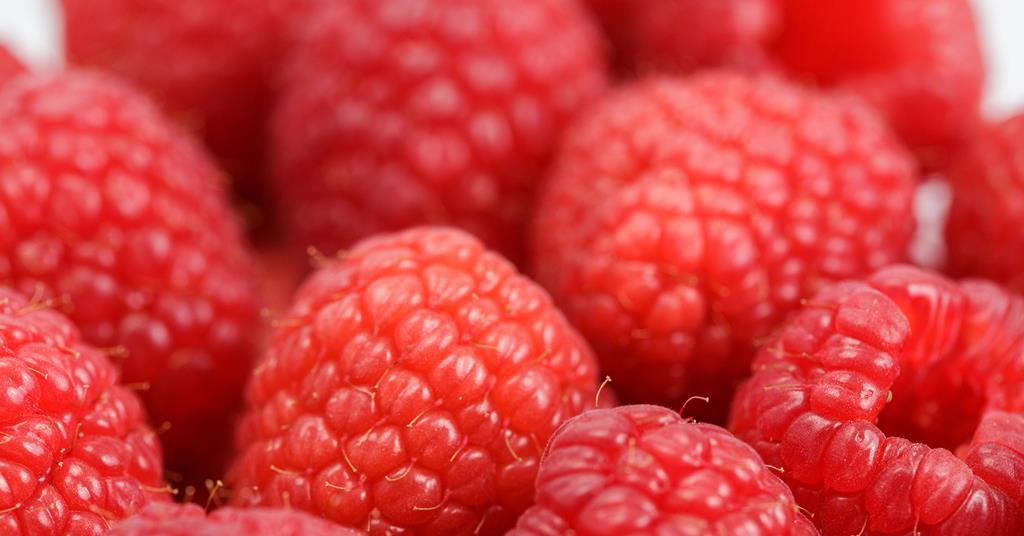 Strong start for Mexican raspberry exports | Article | Fruitnet