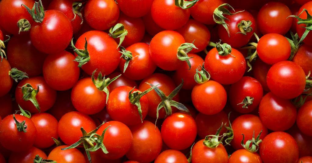 'Buy British tomatoes,' growers say Article