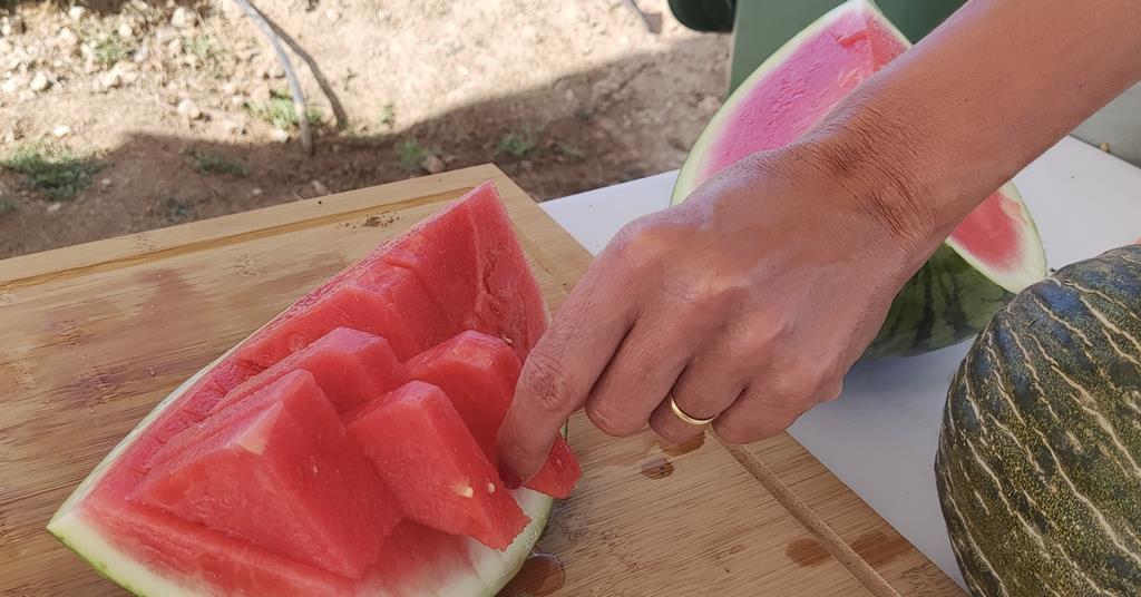 Spanish melons and watermelons bounce back Article