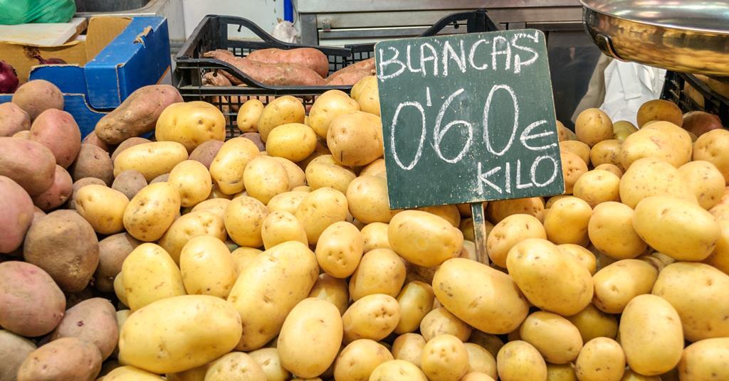 Dip in Spanish fresh produce imports Article