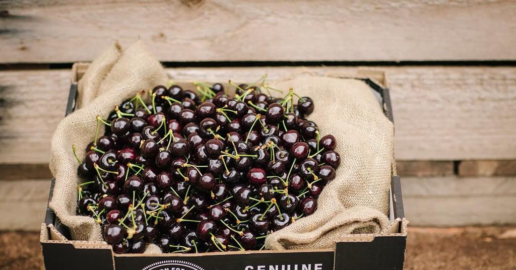 Spring Cherry Perth West Australia’s Southern Forests’ cherry region celebrates harvest ...